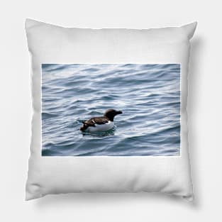 Razorbill out at sea Pillow