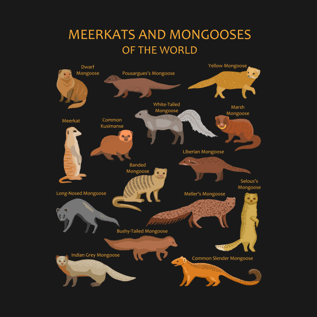 Meerkat and Mongoose Species by ELMayer