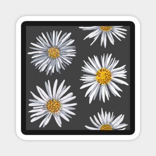 White asters on dark gray, dense Magnet