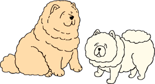 Chow Chow Dogs Magnet