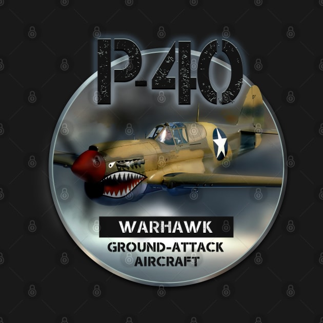 P40 Warhawk by hardtbonez