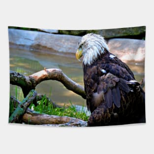 Bald Eagle Tapestry