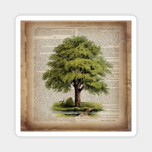 1980s environmental earth day botanical vintage oak tree Magnet