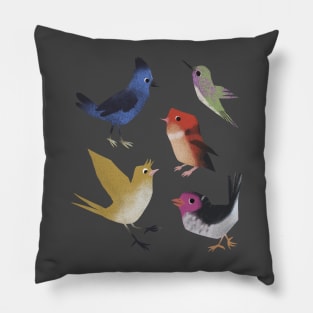 Silly Birds Pillow
