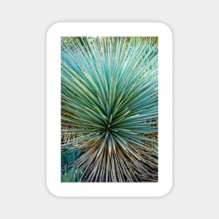 Desert Study 1 Magnet