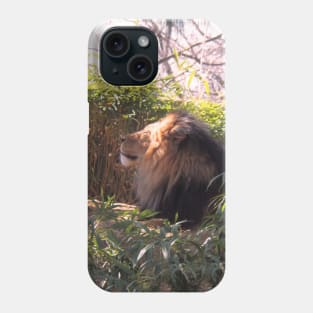 Lion in the Sun Phone Case