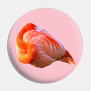 Flamingo I have my eye on you Pin