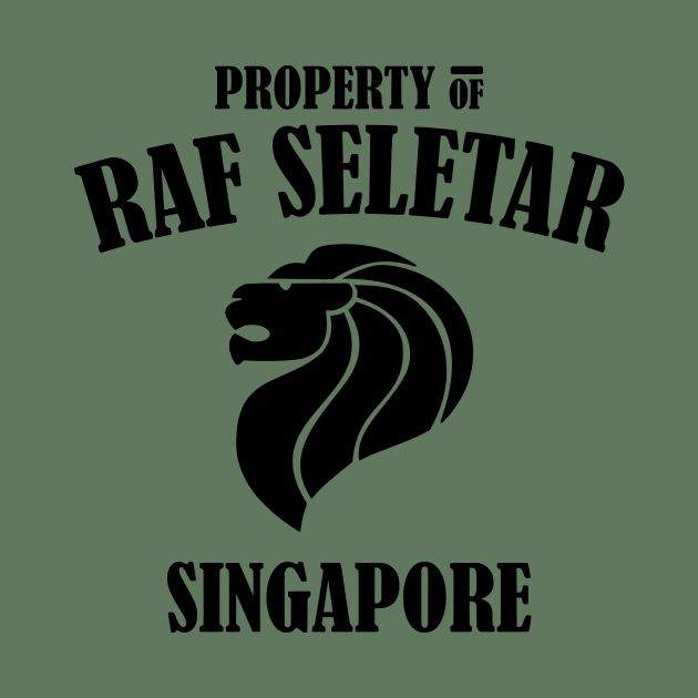 RAF Seletar by Firemission45