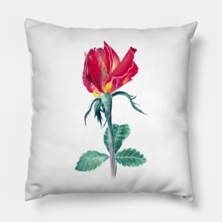 Red rose Pillow