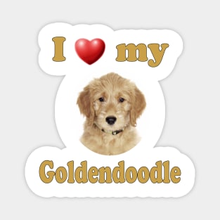 I Love My Goldendoodle Magnet