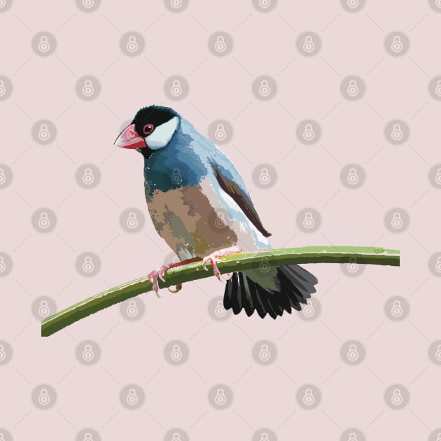 Java Sparrow on a Twig by NadJac