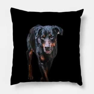 rottweiler Pillow