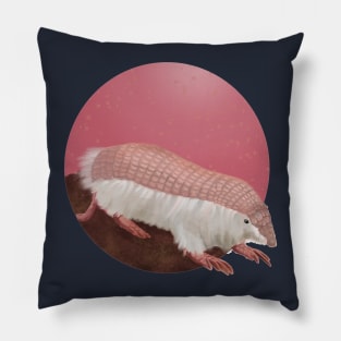 Pink Fairy Armadillo Pillow