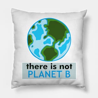 There isn't Planet B Pillow