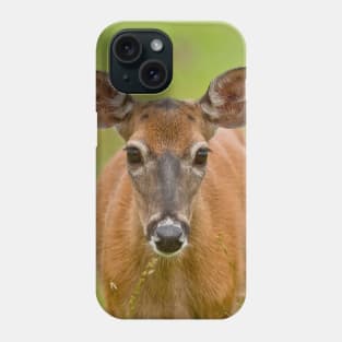 White-tailed Deer Phone Case