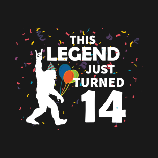 This legend just turned 14 a great birthday gift idea T-Shirt