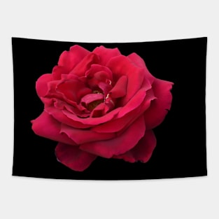 Rose 001 Tapestry