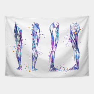 Leg Muscles Colorful Watercolor Anatomy Tapestry