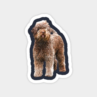 Lagotto Romagnolo - Italian Water Dog Magnet