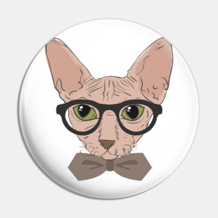 old cat Pin