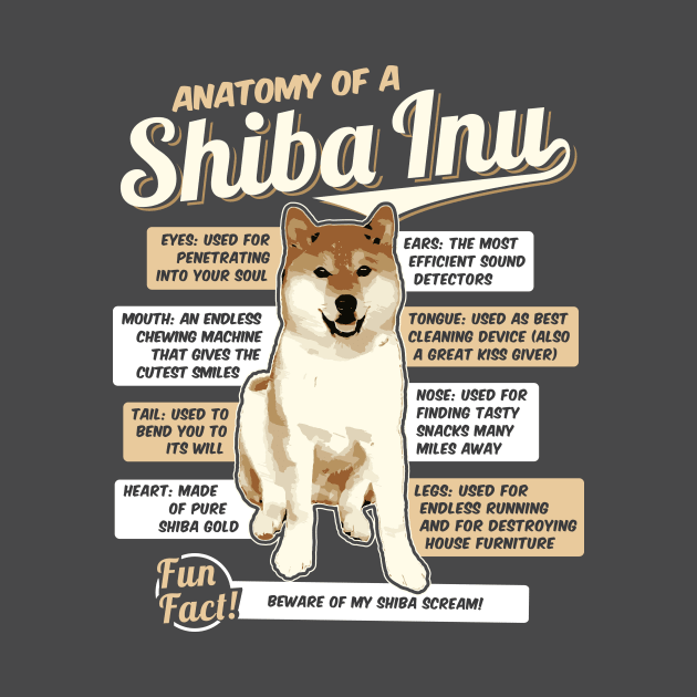 Anatomy of a Shiba Inu by dan89