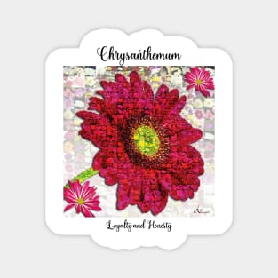 Chrysanthemum Birth Month Flower November Magnet