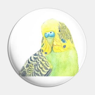 Watercolor green and yellow budgies - parakeet painting portrait Pin