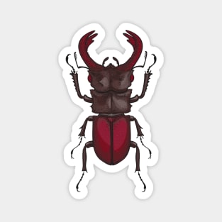 Stag beetle Magnet