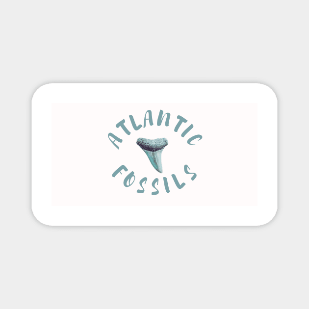 Light Blue Atlantic Fossils Shark Tooth White Print Magnet by AtlanticFossils