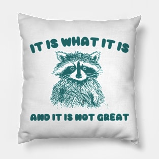 It Is what it is and it is not great, Cartoon Meme Top, Vintage Cartoon Sweater, Unisex Pillow