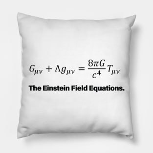 Einstein Field Equations Pillow