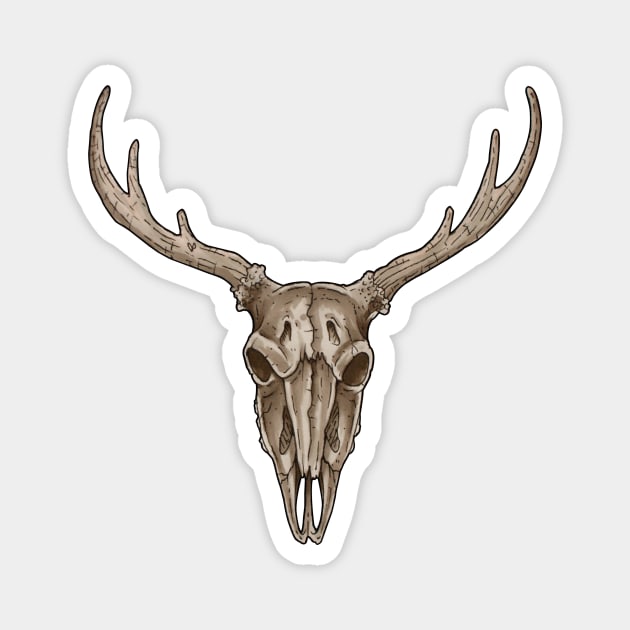 Deer skull 2 Magnet by Dracuria