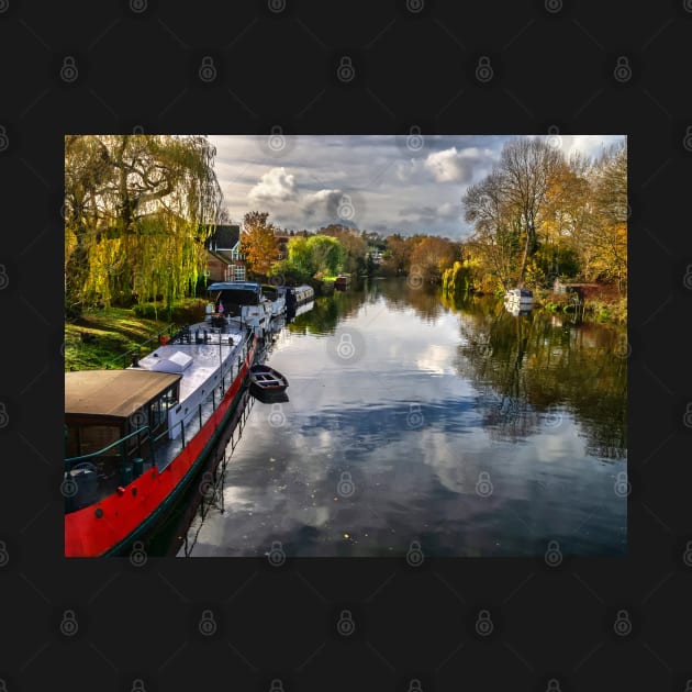 The View Upriver From Whitchurch Bridge by IanWL