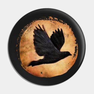 crow/raven in flight... soar Pin