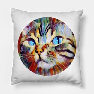 Cute floppy cat Pillow