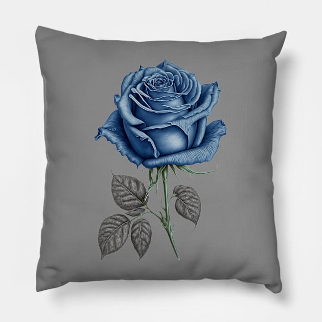 Blue Rose Drawing, Flower Drawing, Gift For Her Pillow by DivShot 