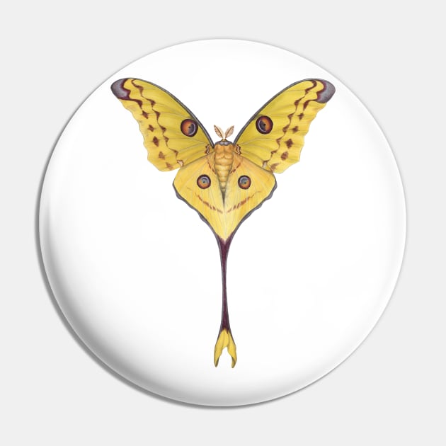 Comet Moth Pin by JadaFitch