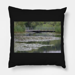 A Pond at The Brickworks in Toronto Pillow
