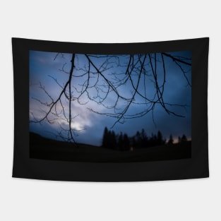 Twilight Forest Tapestry