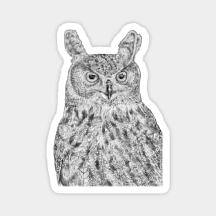 Eurasian eagle-owl Magnet