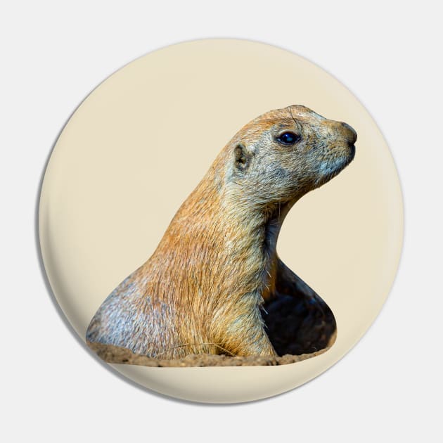 Prairie dog pop up Pin by dalyndigaital2@gmail.com