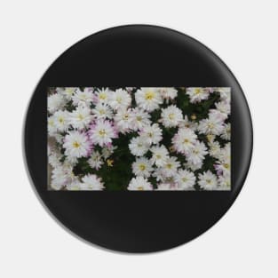 White and Purple Mums - Flowers Pin