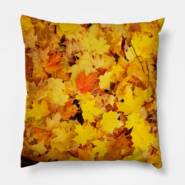 Fall leaves Pillow by Tara Liz Art