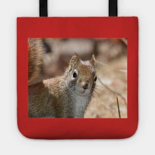 Squrrel Face Tote