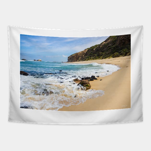 Fingal Beach, Cape Schanck, Mornington Peninsula, Victoria, Australia. Tapestry by VickiWalsh