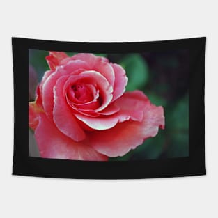 Pink rose Tapestry