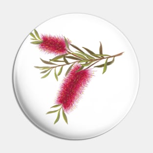 Australian Flora ~ Red Bottle Brush Pin