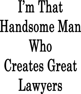 I'm That Handsome Man Who Creates Great Lawyers Magnet