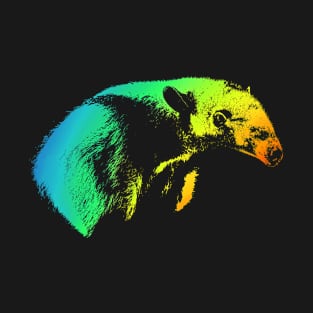 Anteater Lover Colorful Rainbow Style T-Shirt