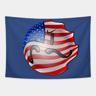 american flag of united states of america Tapestry